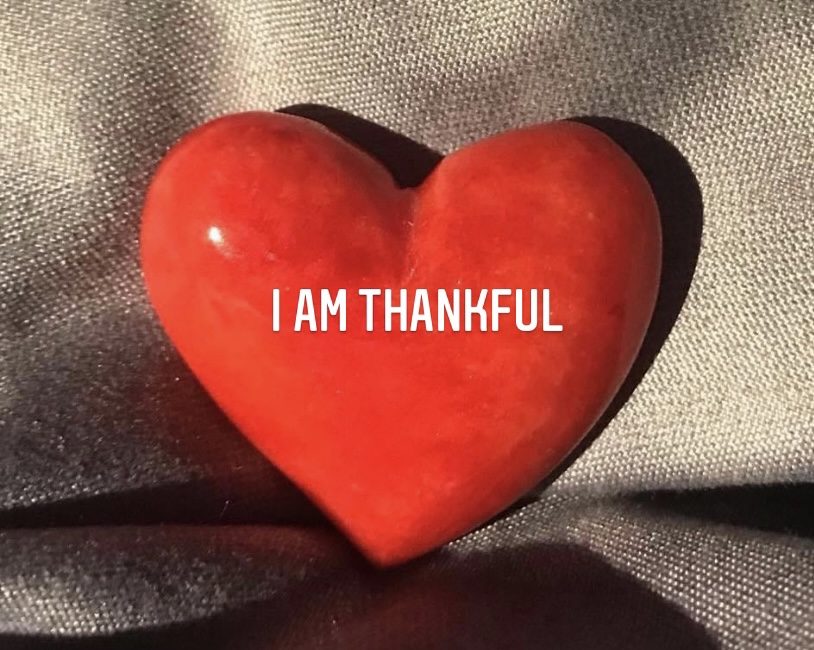 BLOG 31 - 5 tips om je leven te veranderen met de kracht van dankbaarheid - foto