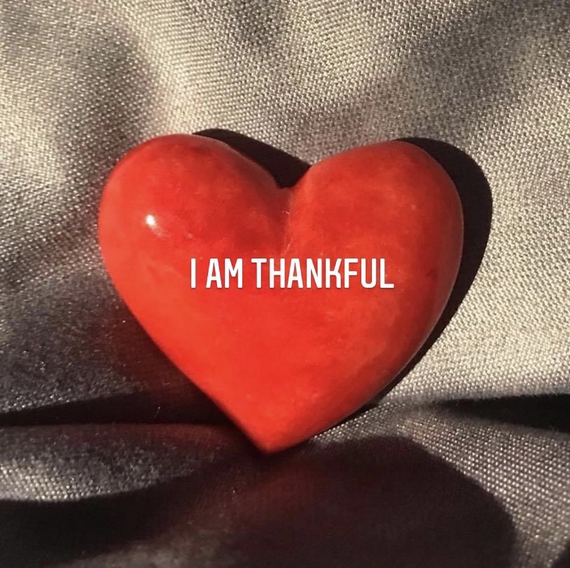 BLOG 31 - 5 tips om je leven te veranderen met de kracht van dankbaarheid - foto